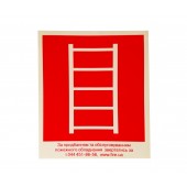 Знаки пожарной безопасности - Пожарная лестница
