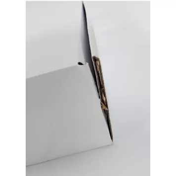 (Уценка) Комплект охранной сигнализации Ajax HDR StarterKit Cam White (StarterKit Cam)-2