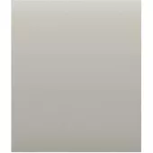 Заглушка монтажної коробки Ajax CoverPlate CenterCover (CP) Oyster (126134.322.OY)