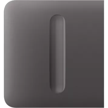 Центральна кнопка для димерного вимикача Ajax SideButton (Dimmer) Grey (98581.254.GR1)-1