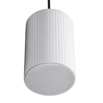 Громкоговоритель FONTE 20w ПП потолочный подвесной (артикул: 000076000)-0